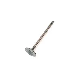 SZELEP, KIPUFOGÓGÁZ