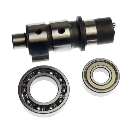 CAMSHAFT ASSY1