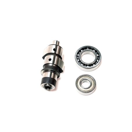 CAMSHAFT ASSY1