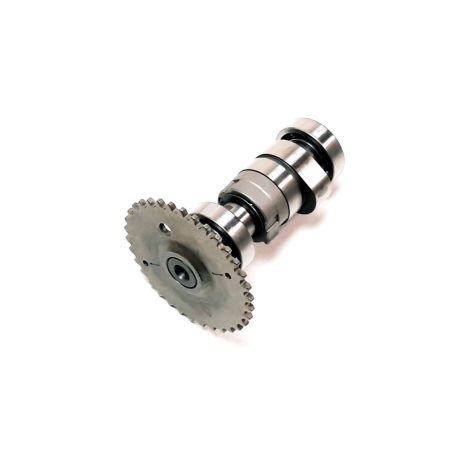 Cam shaft comp
