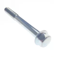 Bolt M6×50