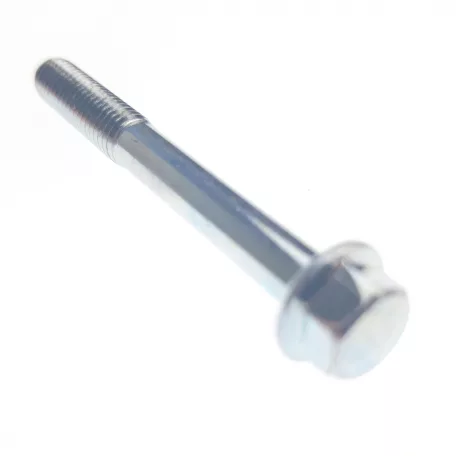 Bolt M6×50