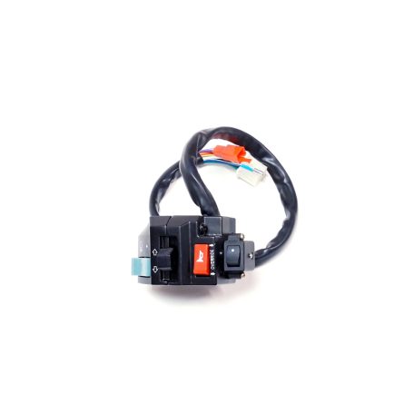 SWITCH ASSY（ONLY FOR EUROPE，Dipped headlight on） (csak Európában)