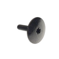 CSAVAR, VÁLL TSTRH M6X.0X25 RIE BL