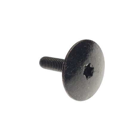 CSAVAR, VÁLL TSTRH M6X.0X25 RIE BL