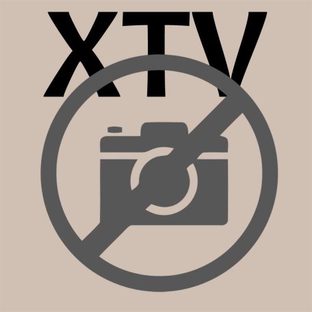 XRW ötvözött lengőkar védő - Ktm 505- 450 Sx