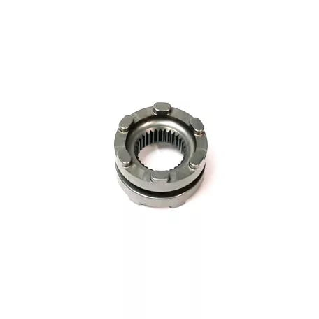 ELJEGYZÉSI KUTYA, 6 - ARC