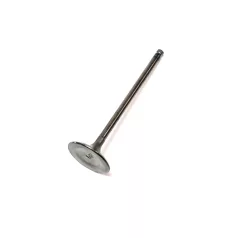 SZELEP, BESZÍVÓSZELEP