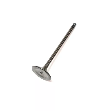 SZELEP, BESZÍVÓSZELEP