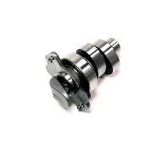 Cam shaft comp