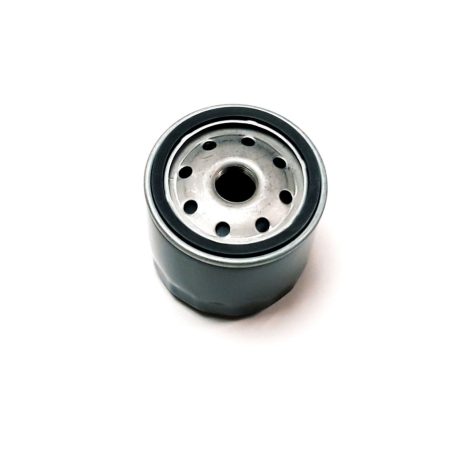 OIL FILTER, KOHLER KT, 12-050-01