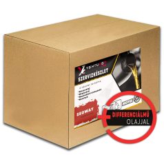   Szervizkészlet + diff - SEGWAY Fugleman UT10 / Villain SX10 (Teljesen szintetikus)