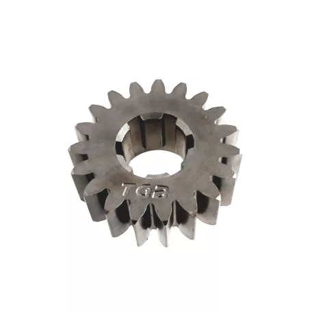 GEAR(19T)
