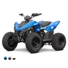 Linhai ATV 110 2X4 EFI CE