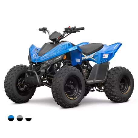Linhai ATV 110 2X4 EFI CE