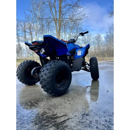 Linhai ATV 110 2X4 EFI CE