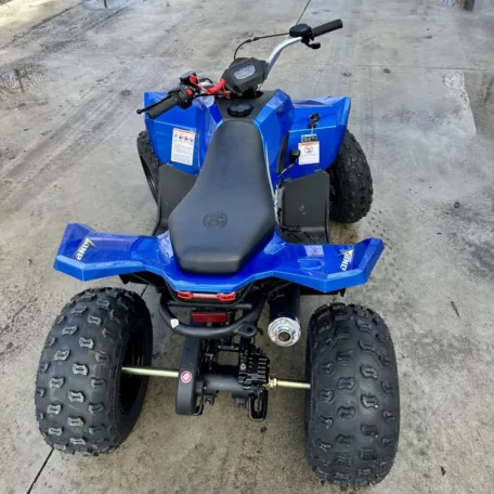 Linhai ATV 110 2X4 EFI CE