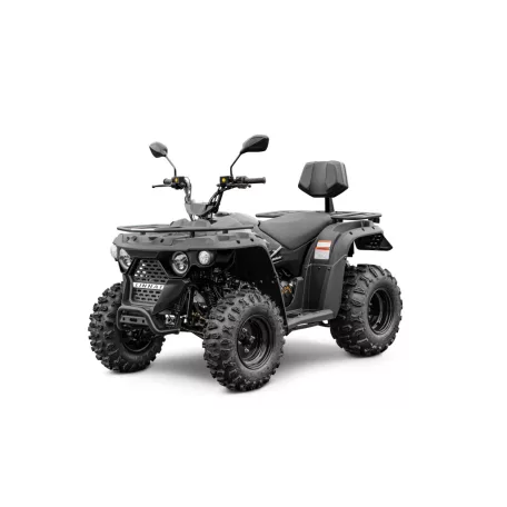 Linhai 210M EFi 2×4 Quad / ATV
