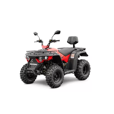 Linhai 210M EFi 2×4 Quad / ATV