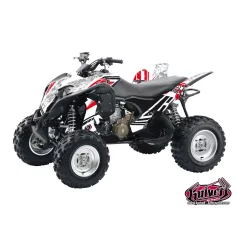   Karosszéria védő dekor matrica készlet Quad HONDA Spirit Széria