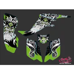   Karosszéria védő dekor matrica készlet Quad KAWASAKI Demon Széria