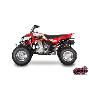   Karosszéria védő dekor matrica készlet Quad POLARIS Spirit Széria
