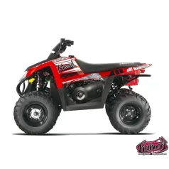   Karosszéria védő dekor matrica készlet Quad POLARIS Spirit Széria