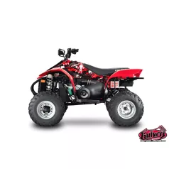   Karosszéria védő dekor matrica készlet Quad POLARIS Freegun Széria